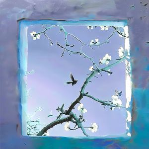 欧美性爱天天干
